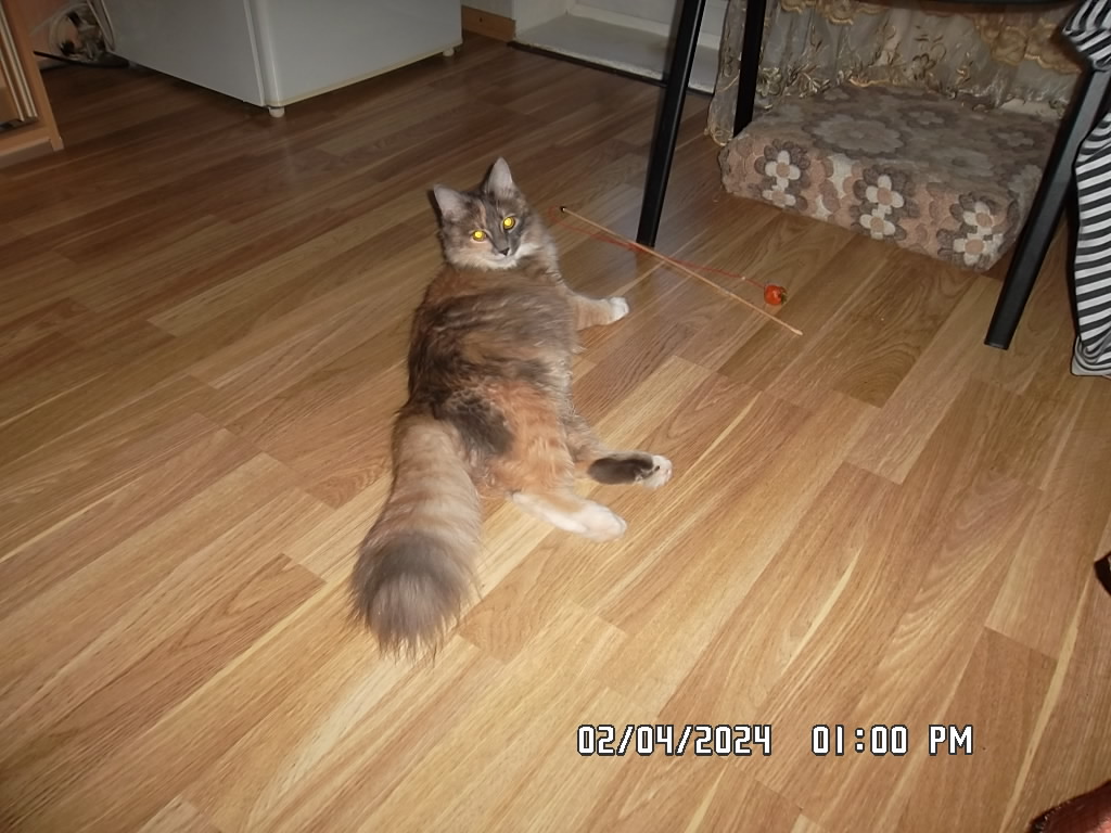 SAM_8024.JPG