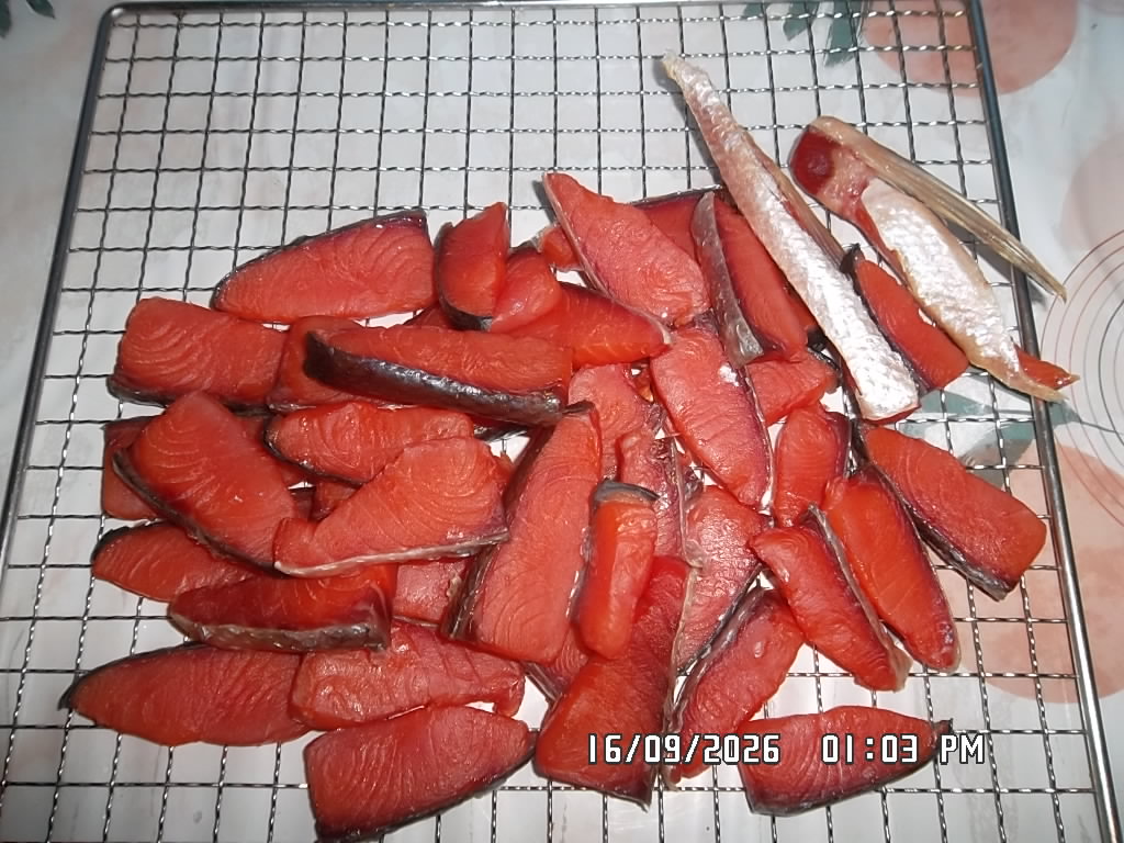 SAM_8273.JPG