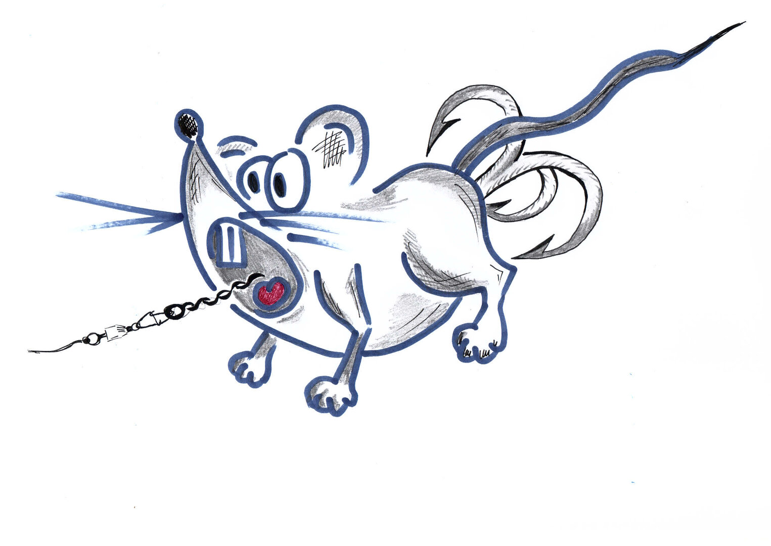 самодельная мышь.jpg