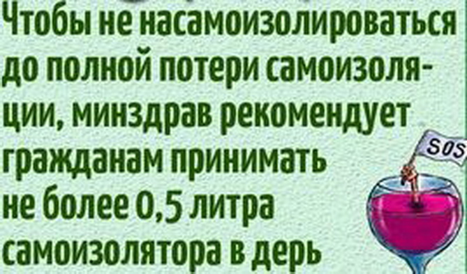 самоизолятор.jpg