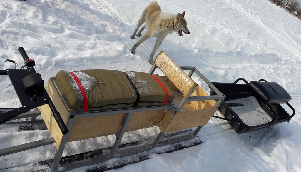 Сани фото 1.jpg