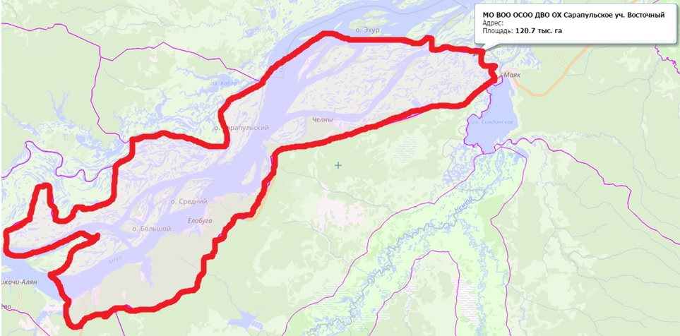 сарапульское 2.jpg