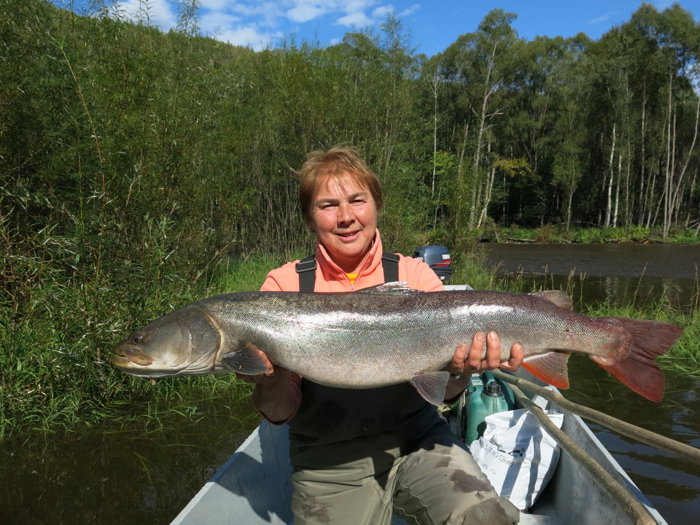 Saruna 125F и таймень 10,5кг  IMG_1432.JPG