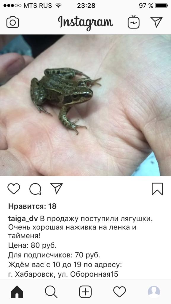 SAVE_20181214_234903.jpeg