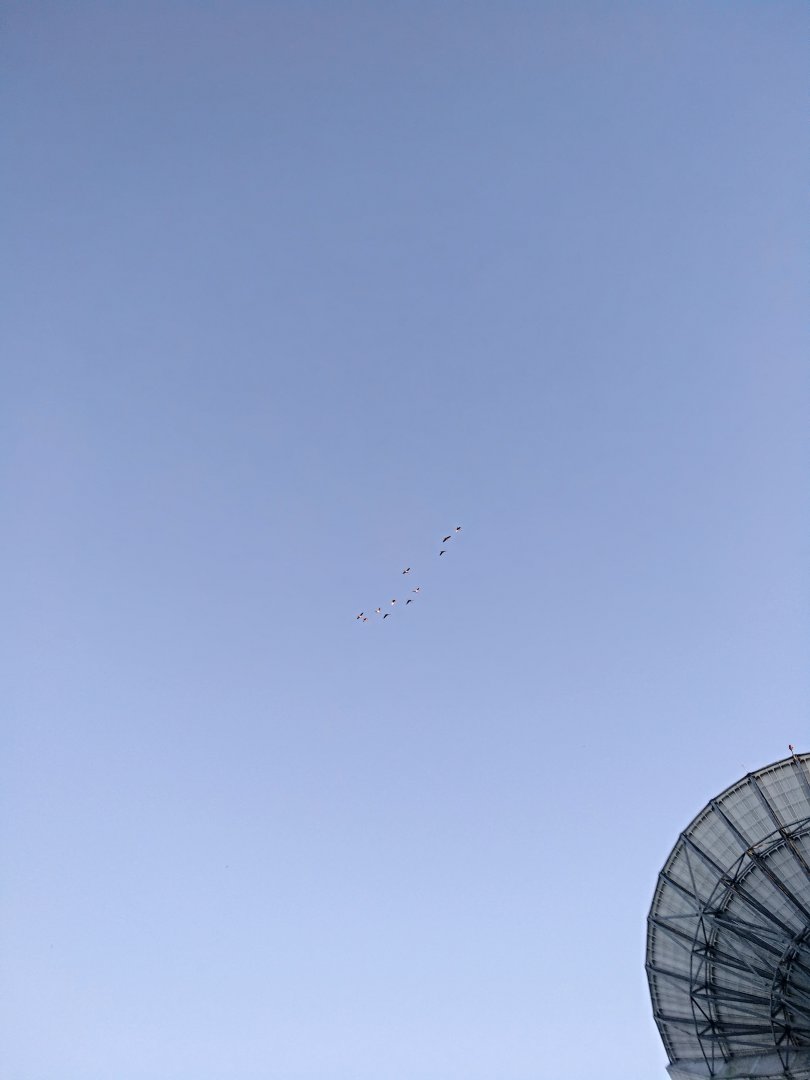 SAVE_20191009_210652.jpg