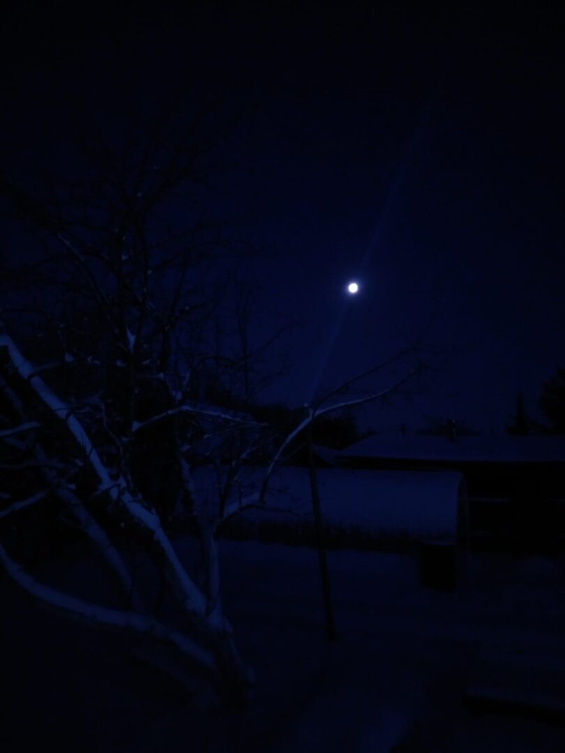 SAVE_20230108_070809.jpg