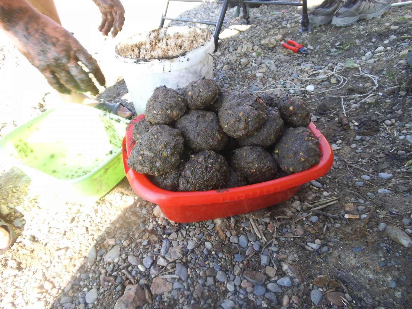 Сазан 2013 153.jpg