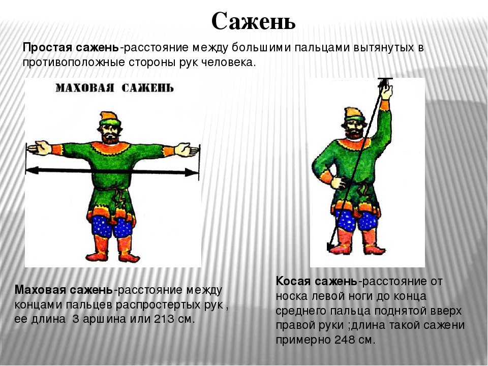 сажень.jpg