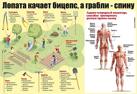scale_1200 (14).jpg