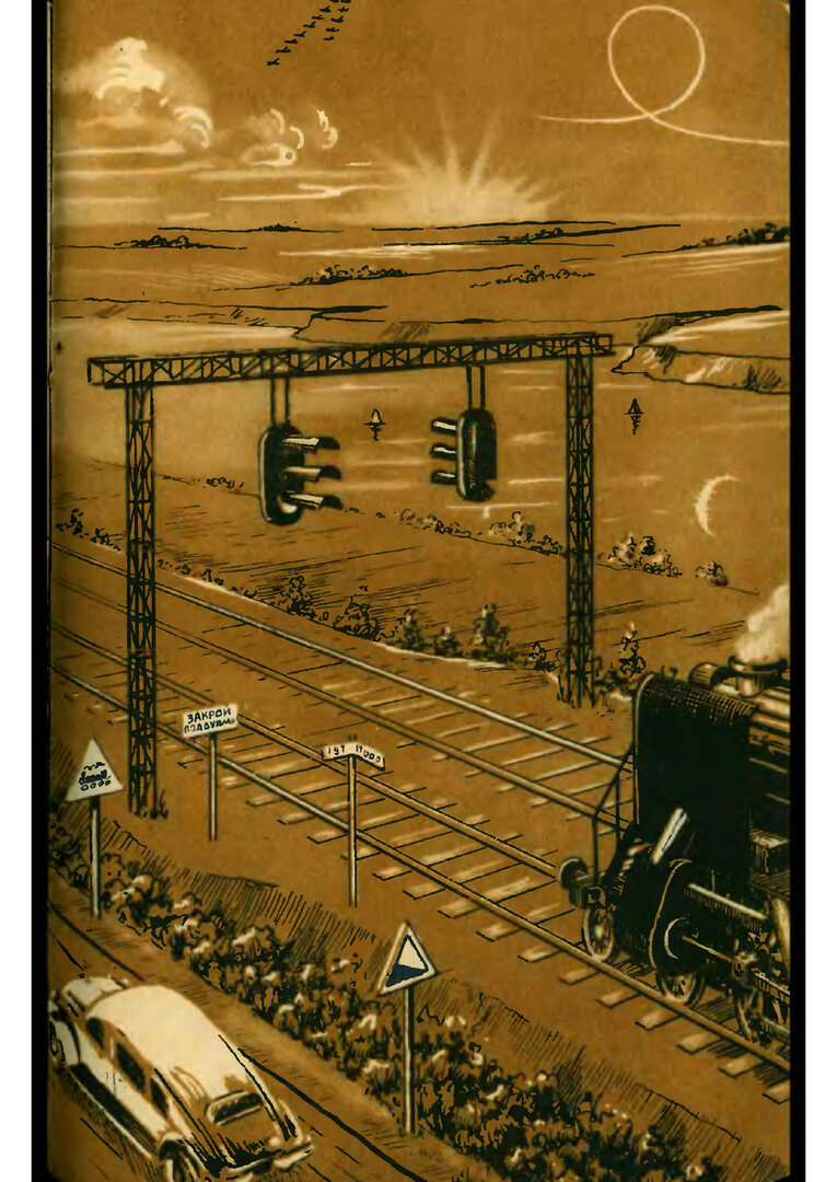 scale_1200 (35).jpg