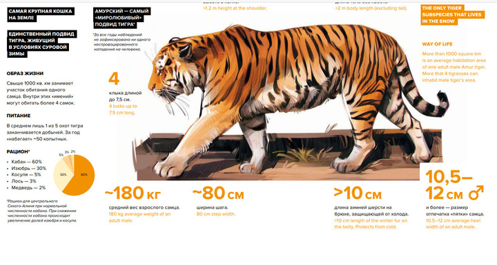 scale_720 (4).jpeg
