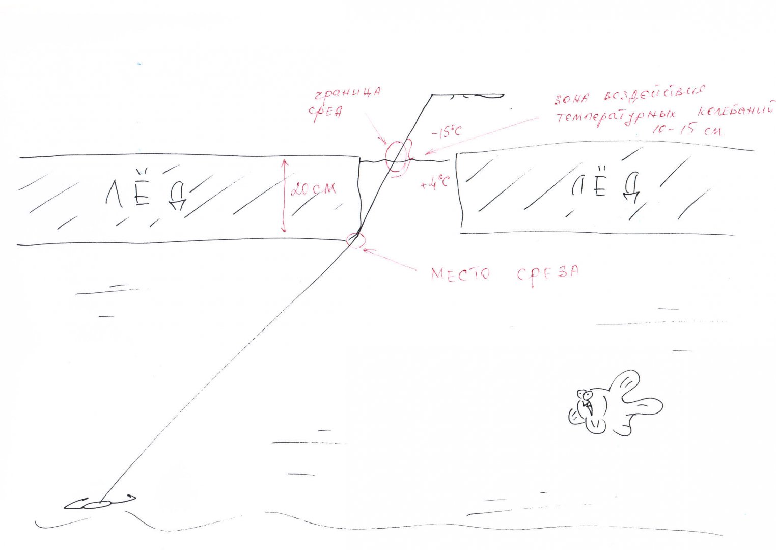 Scan 001.jpg