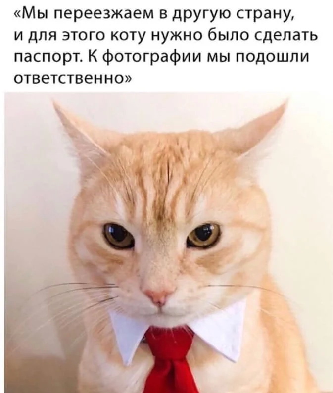 щд.jpg