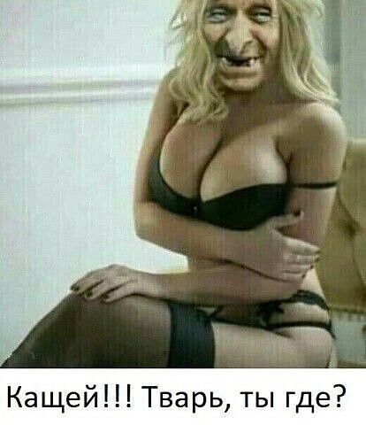 щд.jpg