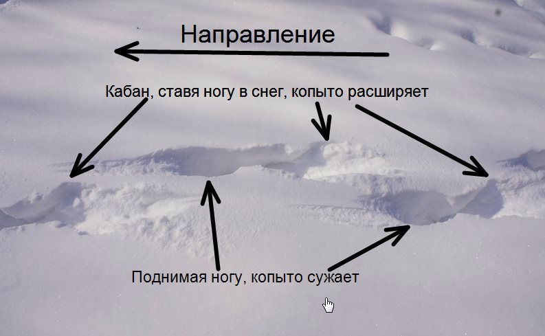 ScreenShot.jpg