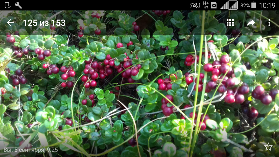 Screenshot_2016-12-14-10-19-11.png