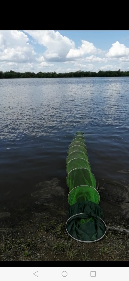 Screenshot_20190611-002154.jpg
