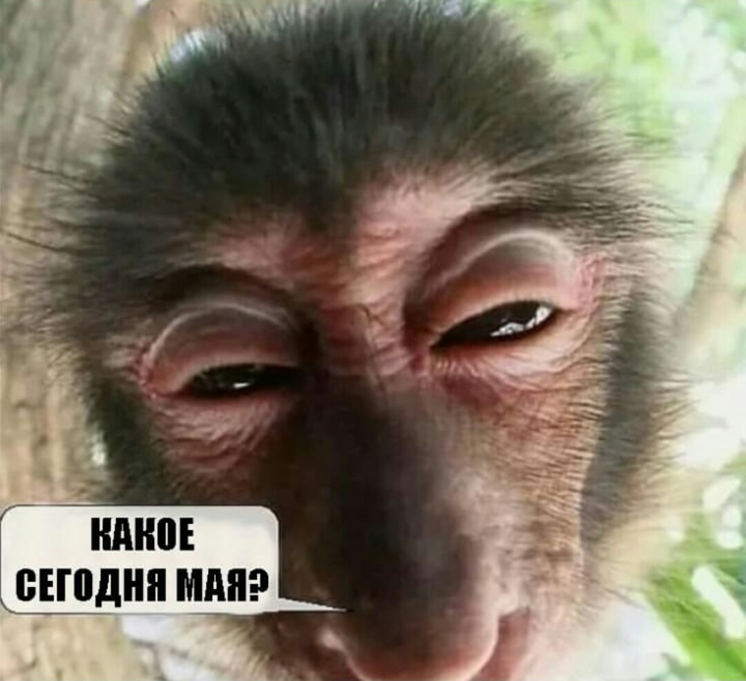 Screenshot_2020-05-11-21-47-11-686_com.whatsapp.jpg