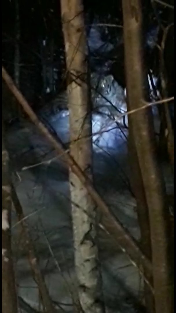 Screenshot_20201104-085715_Video Player.jpg