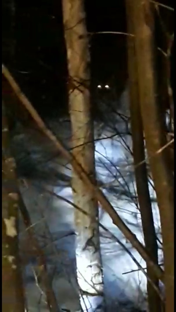 Screenshot_20201104-085719_Video Player.jpg