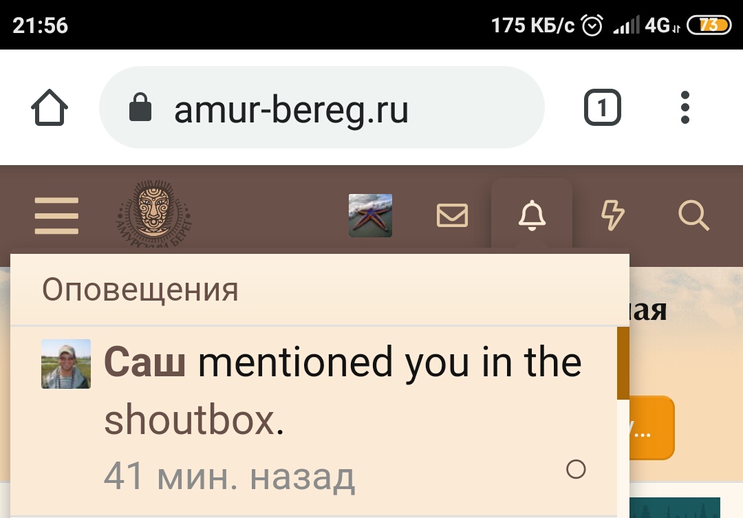 Screenshot_2021-05-06-21-56-58-018_com.android.chrome.jpg