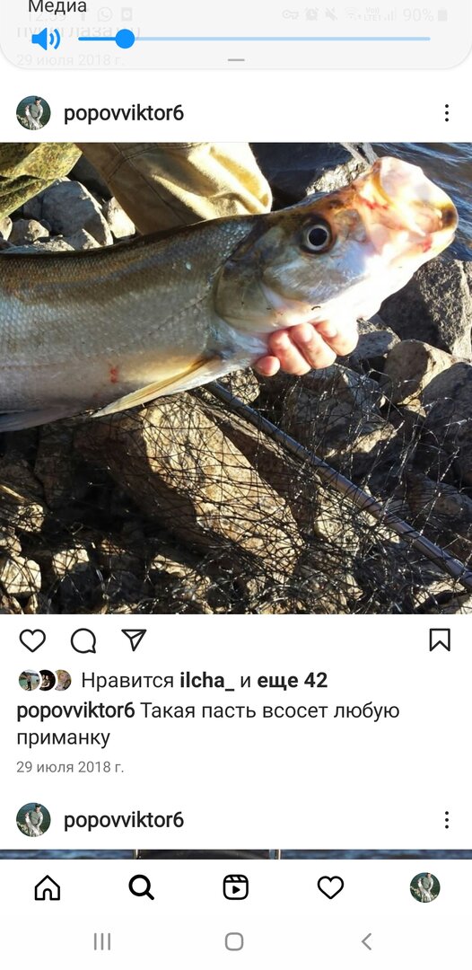 Screenshot_20220730-125928_Instagram.jpg