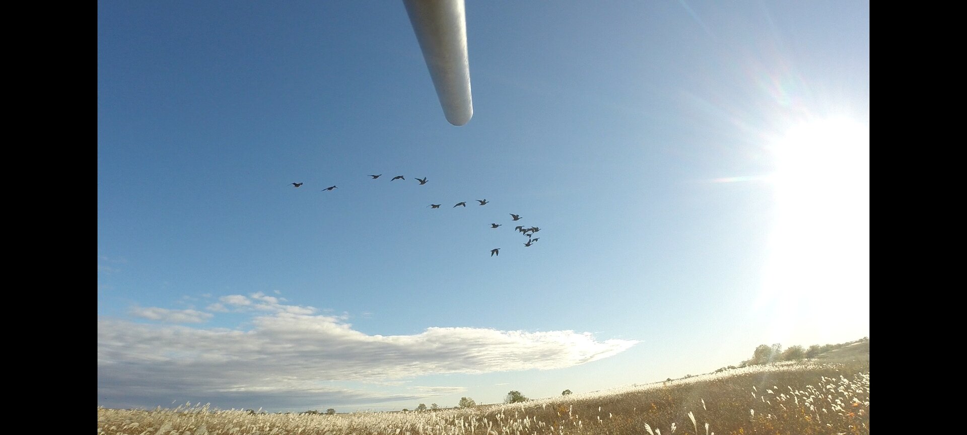 Screenshot_20221005-195107_Video Player.jpg