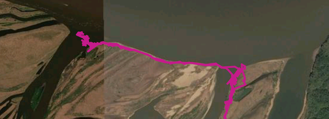 Screenshot_20221127-102928.png