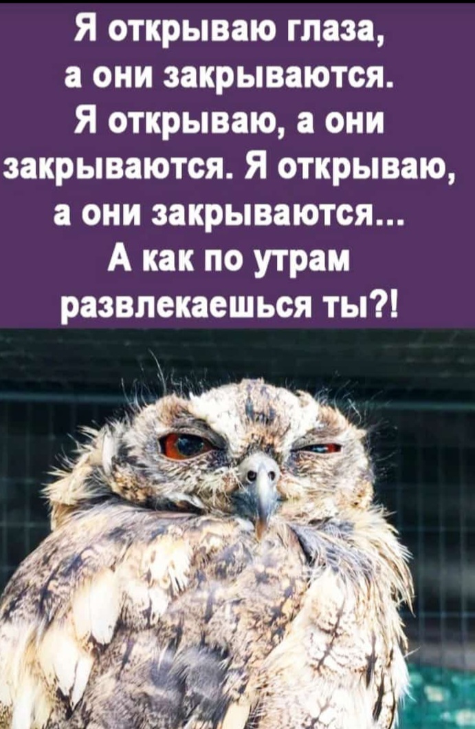 Screenshot_20221128-184714_WhatsApp.jpg