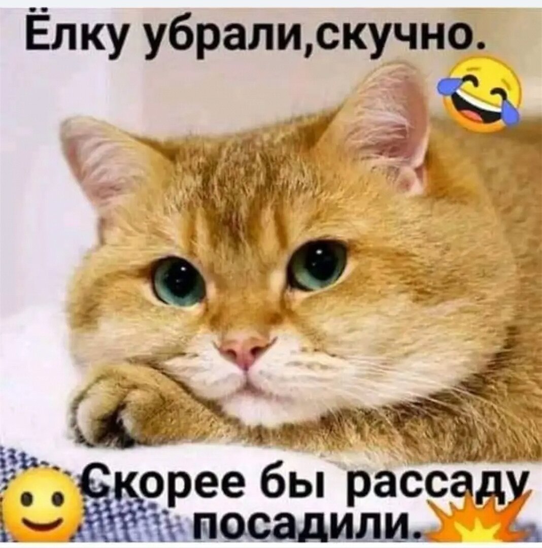 Screenshot_20230115_202418_com.android.gallery3d_edit_233802826214843.jpg