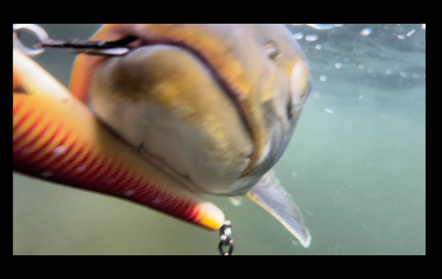 Screenshot_20230124-145629.png