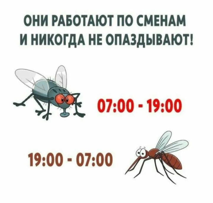 Screenshot_20230128-123602_WhatsApp.jpg