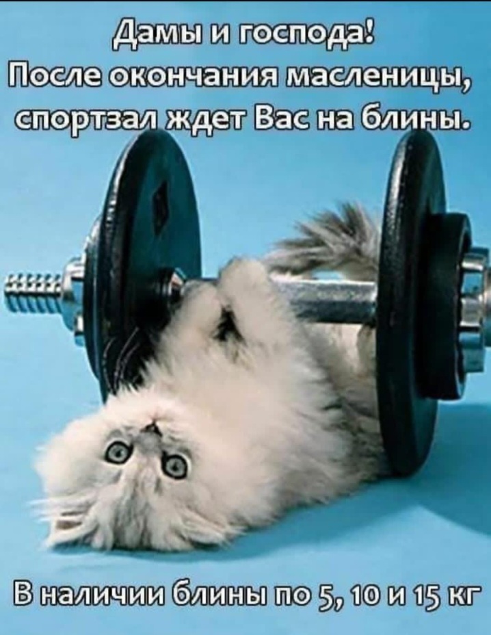 Screenshot_20230226-113841_WhatsApp.jpg