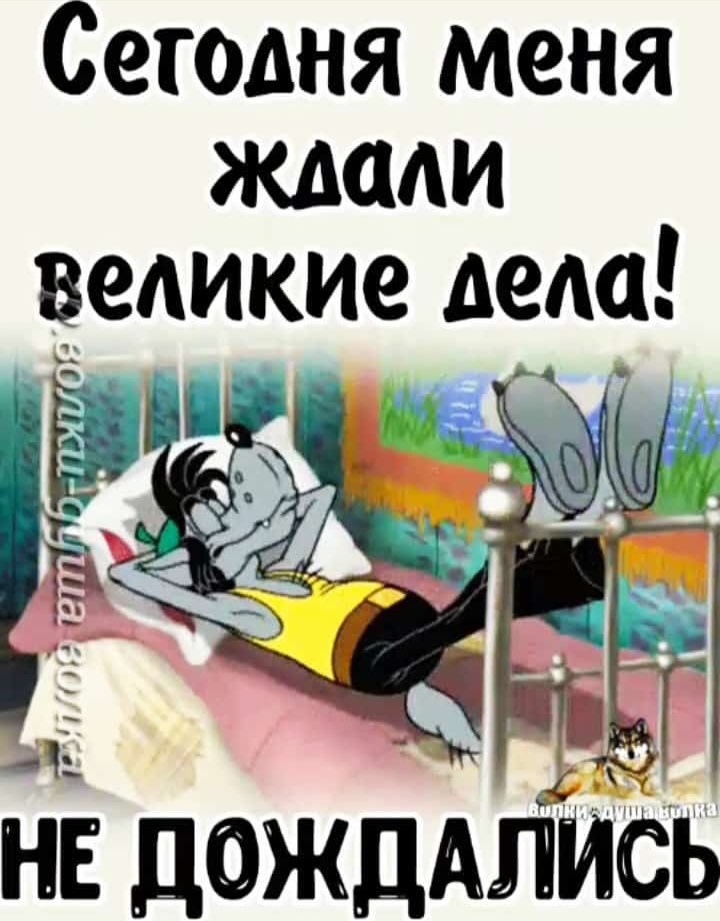 Screenshot_20230413-193928_WhatsApp.jpg
