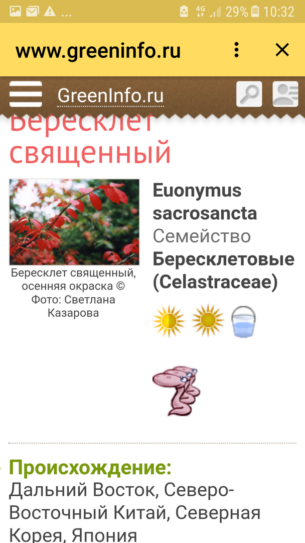 Screenshot_20230622-103232.png