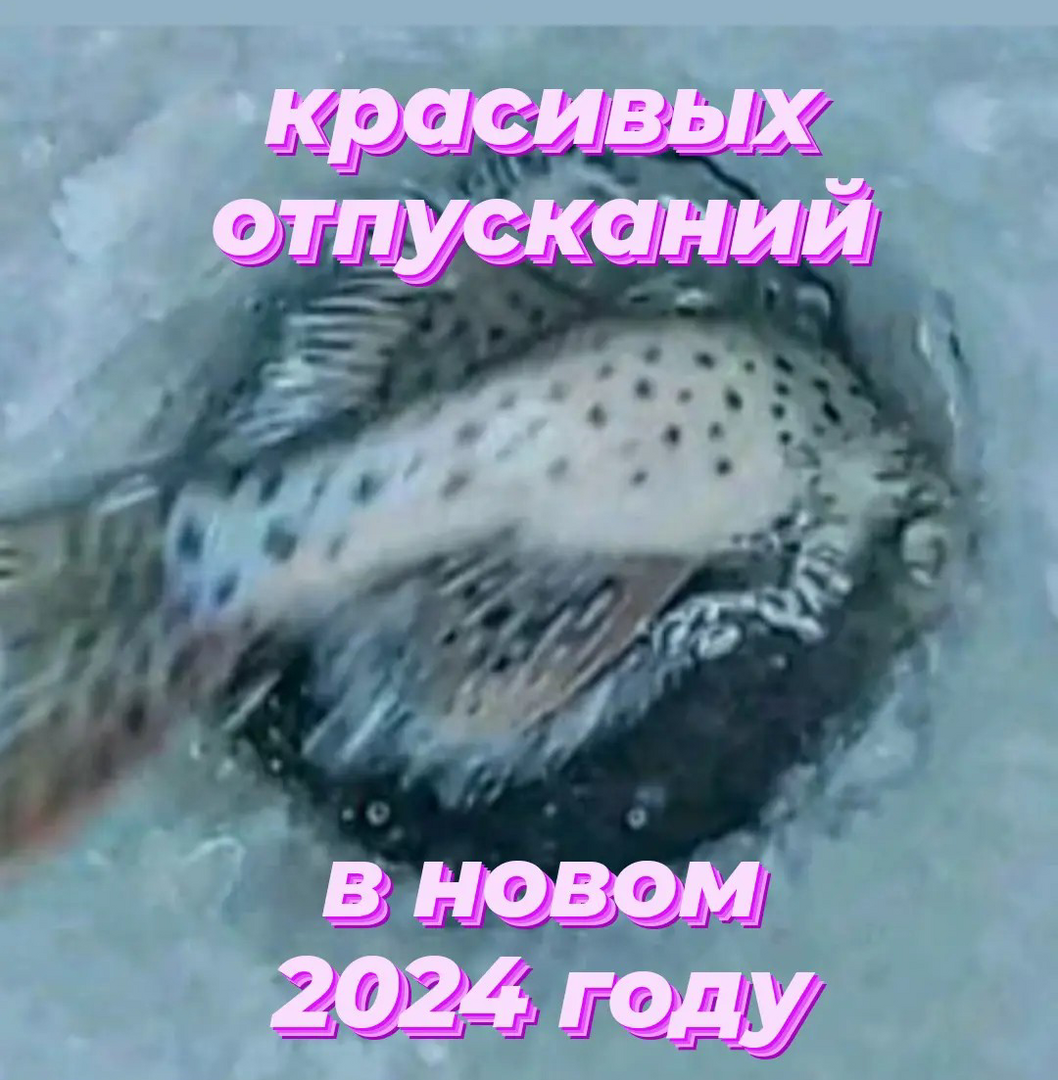 Screenshot_20231231-094255.png