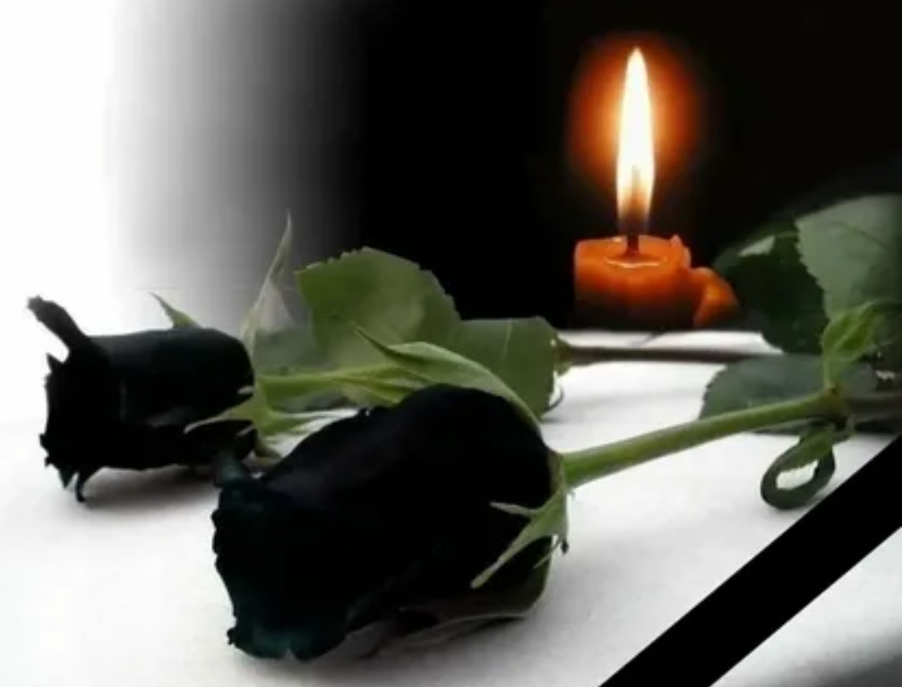 Screenshot_2024-05-03-09-00-08-771_com.yandex.searchapp.jpg
