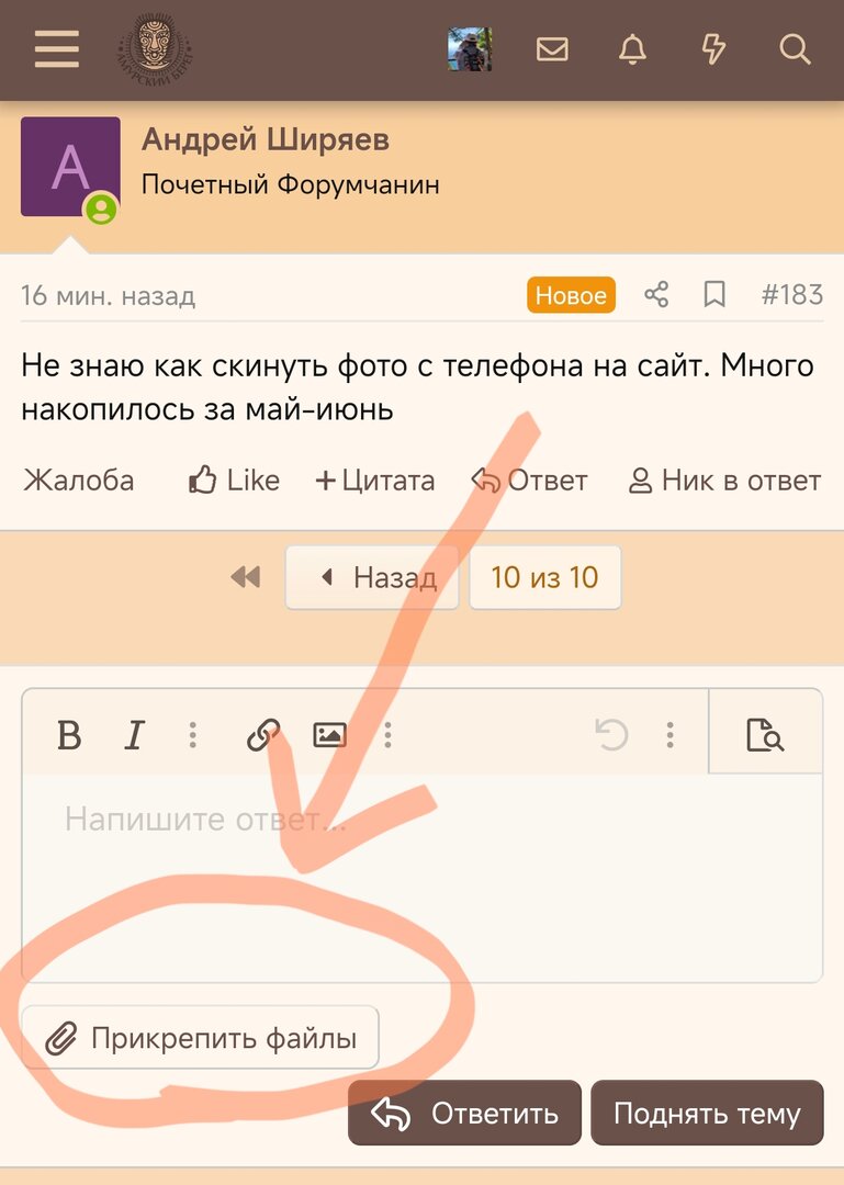 Screenshot_2024-06-15-15-22-48-038_com.android.chrome-edit.jpg