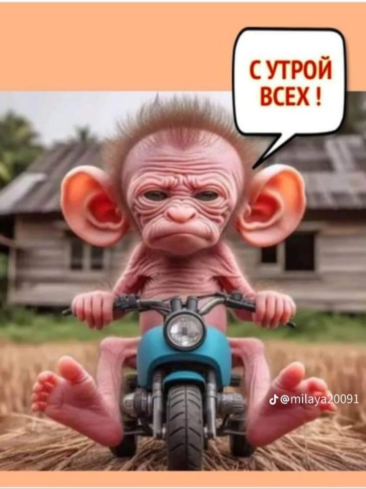 Screenshot_20240430-113216_WhatsApp.jpg