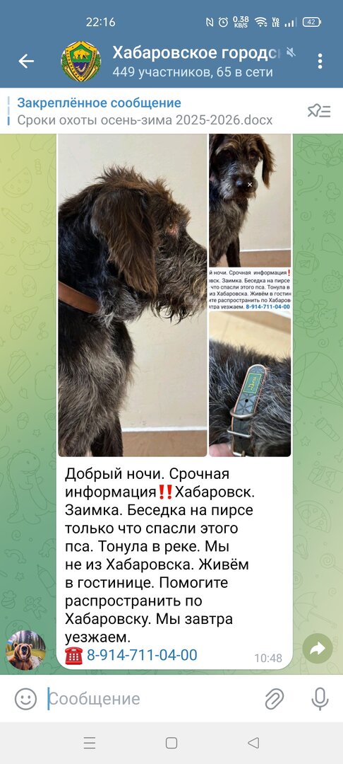 Screenshot_2025-10-05-22-16-32-22_948cd9899890cbd5c2798760b2b95377.jpg
