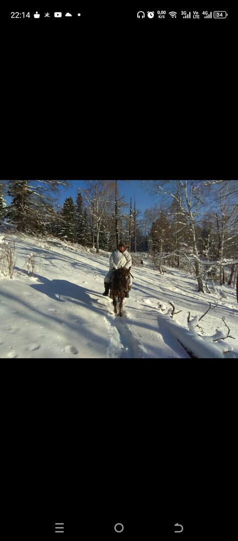 Screenshot_20250208-221411.jpg