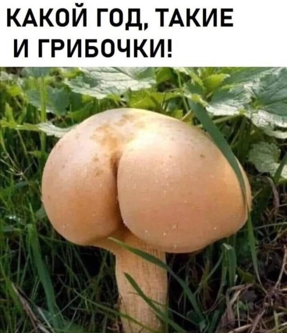 Screenshot_20250729_184345_WhatsApp.jpg