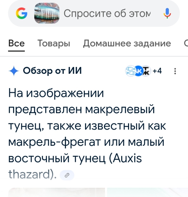 Screenshot_20250910_180301_com_google_android_googlequicksearchbox_LensExportedAct_edit_391707...jpg