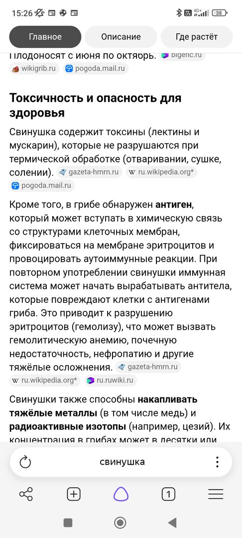 Screenshot_2026-08-30-15-26-15-143_com.yandex.browser.jpg