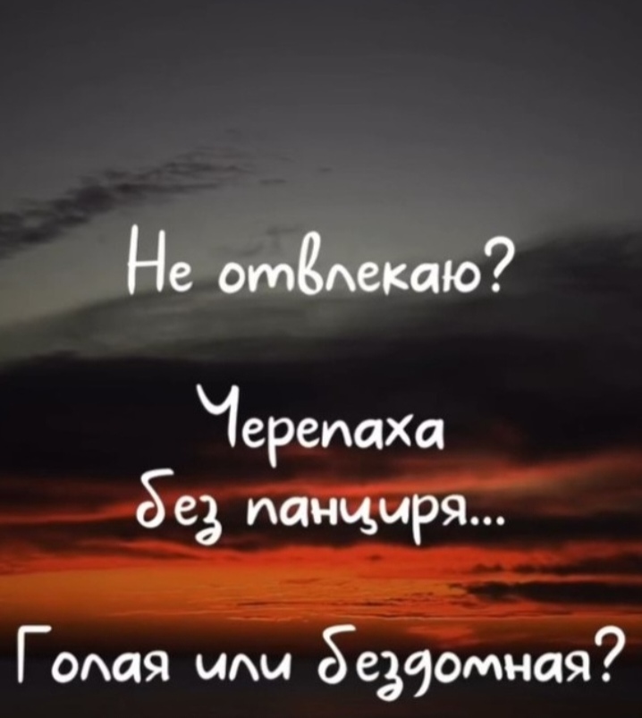 Screenshot_20260516_144106_com_whatsapp_StatusPlaybackActivity_edit_16978671906855.jpg