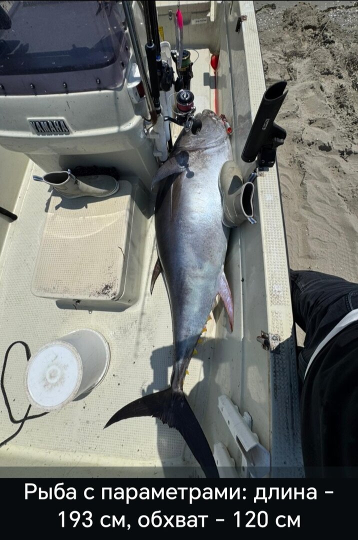 Screenshot_20260603_092915_com_whatsapp_StatusPlaybackActivity_edit_72971248287111.jpg