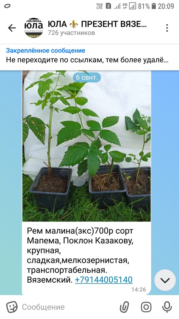 Screenshot_20260909-200936_MAX.jpg