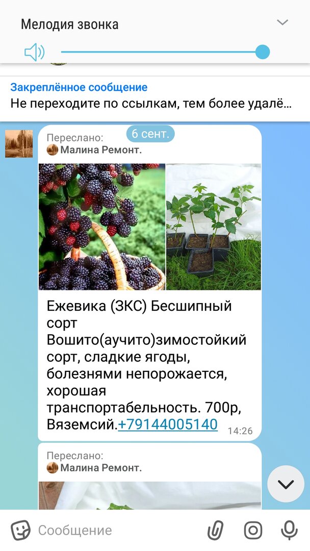 Screenshot_20260909-200951_MAX.jpg