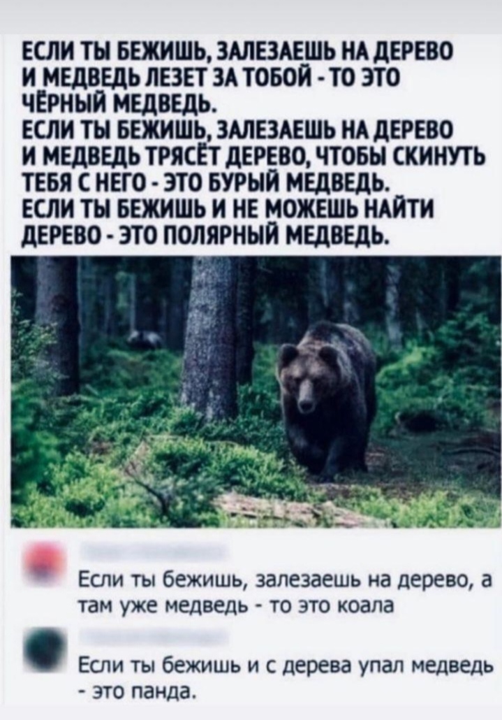 Screenshot_20261009_111251_com_whatsapp_StatusPlaybackActivity_edit_2012871625169.jpg