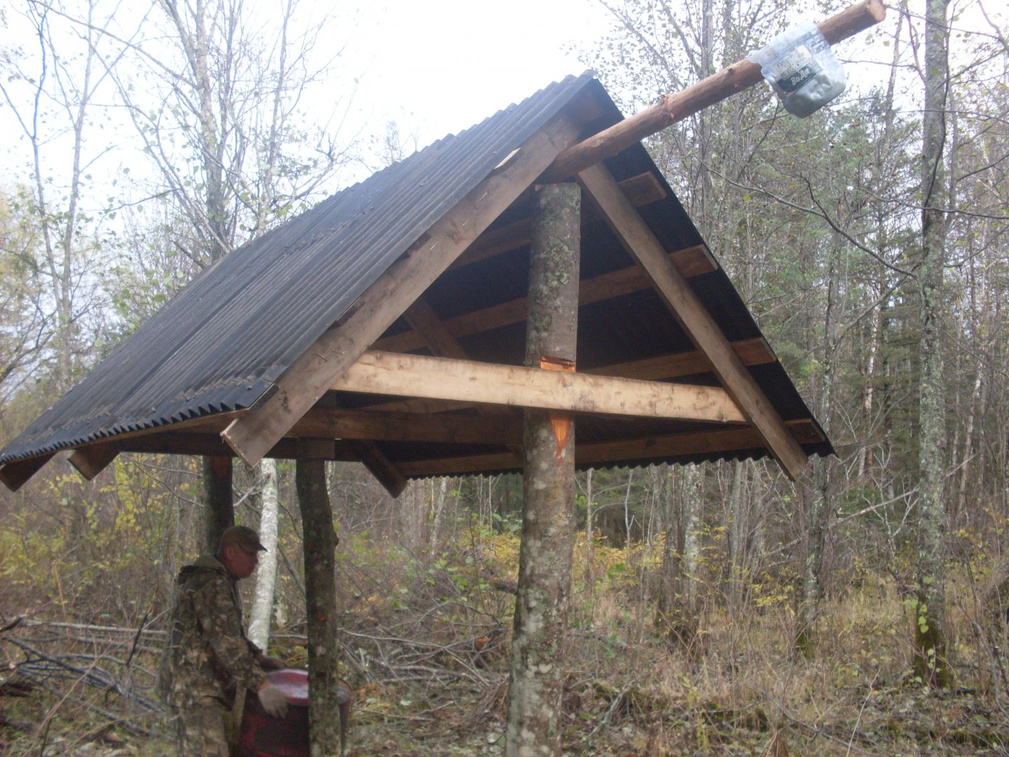 SDC10510.JPG